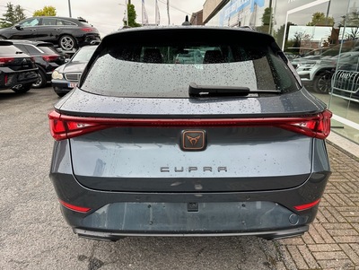 Cupra_LeoSP_30.jpg